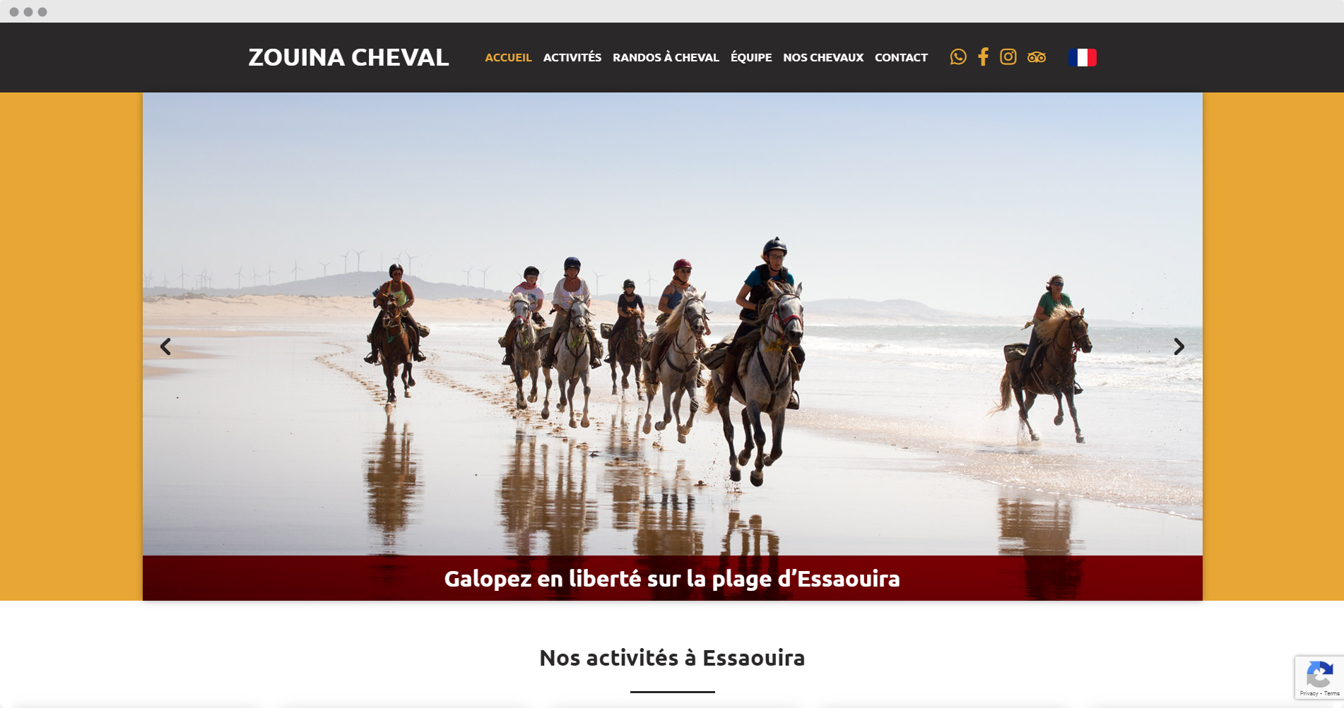 screenshot of Zouina Cheval website
